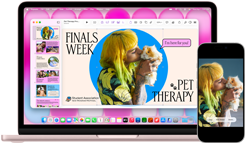 MacBook Neo, color rosa rubor, junto a un iPhone, la pantalla de la MacBook Neo muestra una presentación en pantalla sobre terapia con mascotas y exámenes de fin de año con la foto de una persona que sostiene un cuy, la pantalla del iPhone muestra la misma foto convertida en un sticker para usar en la presentación